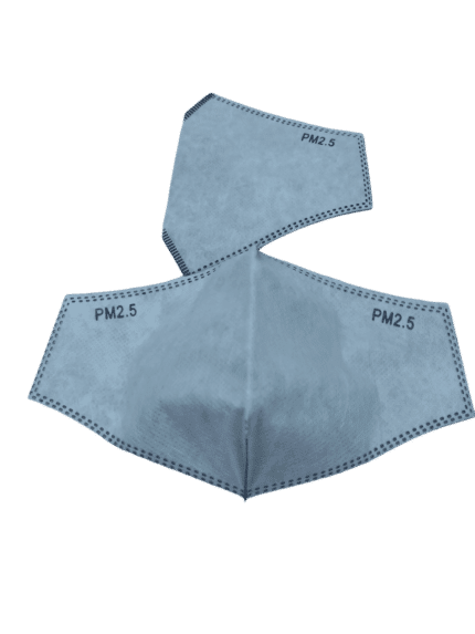 PM2.5 3D Face Mask Disposable Filter