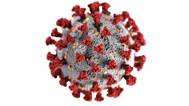 Coronavirus Covid-19